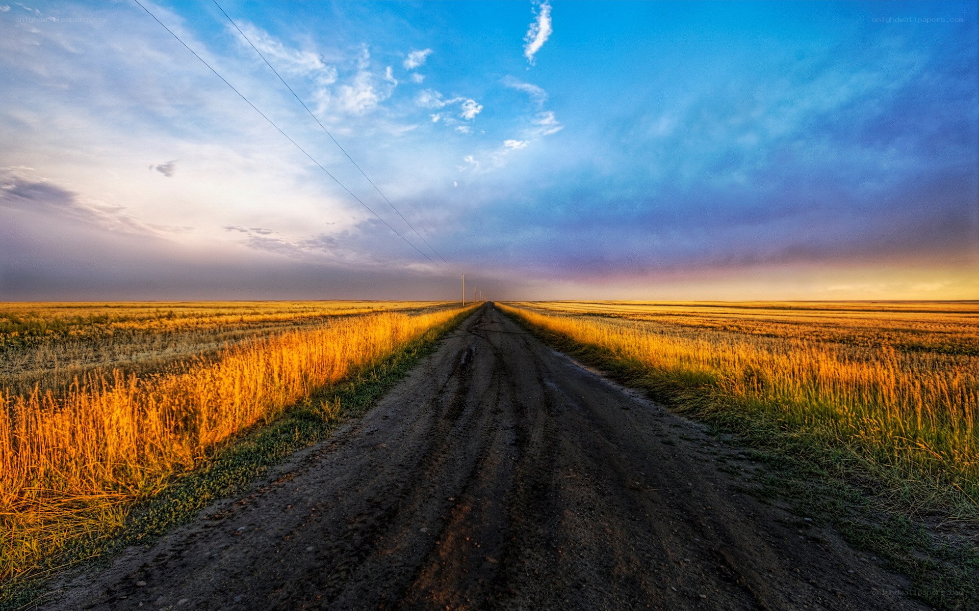 Dirt road through golden fields