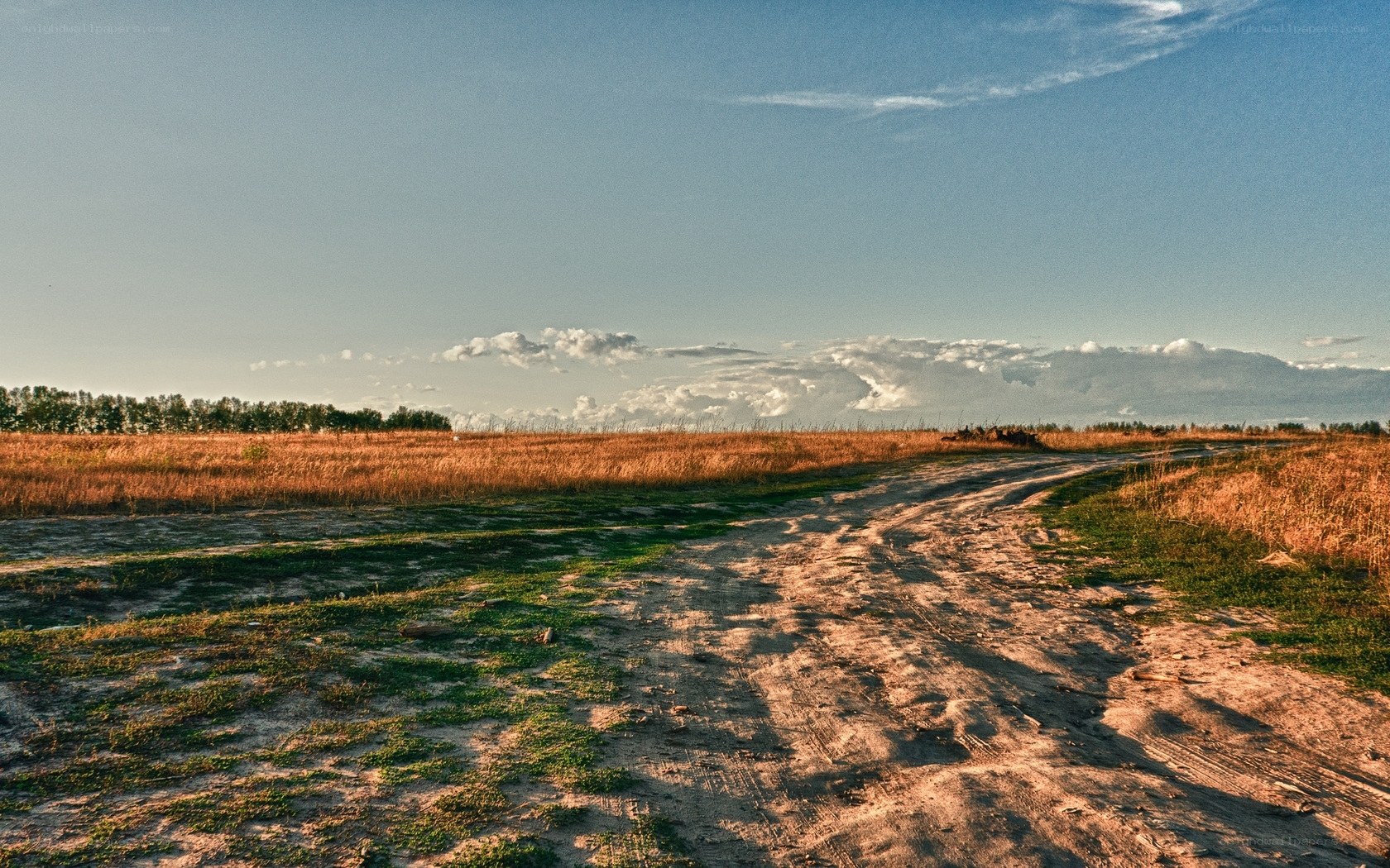 Dirt road through golden fields