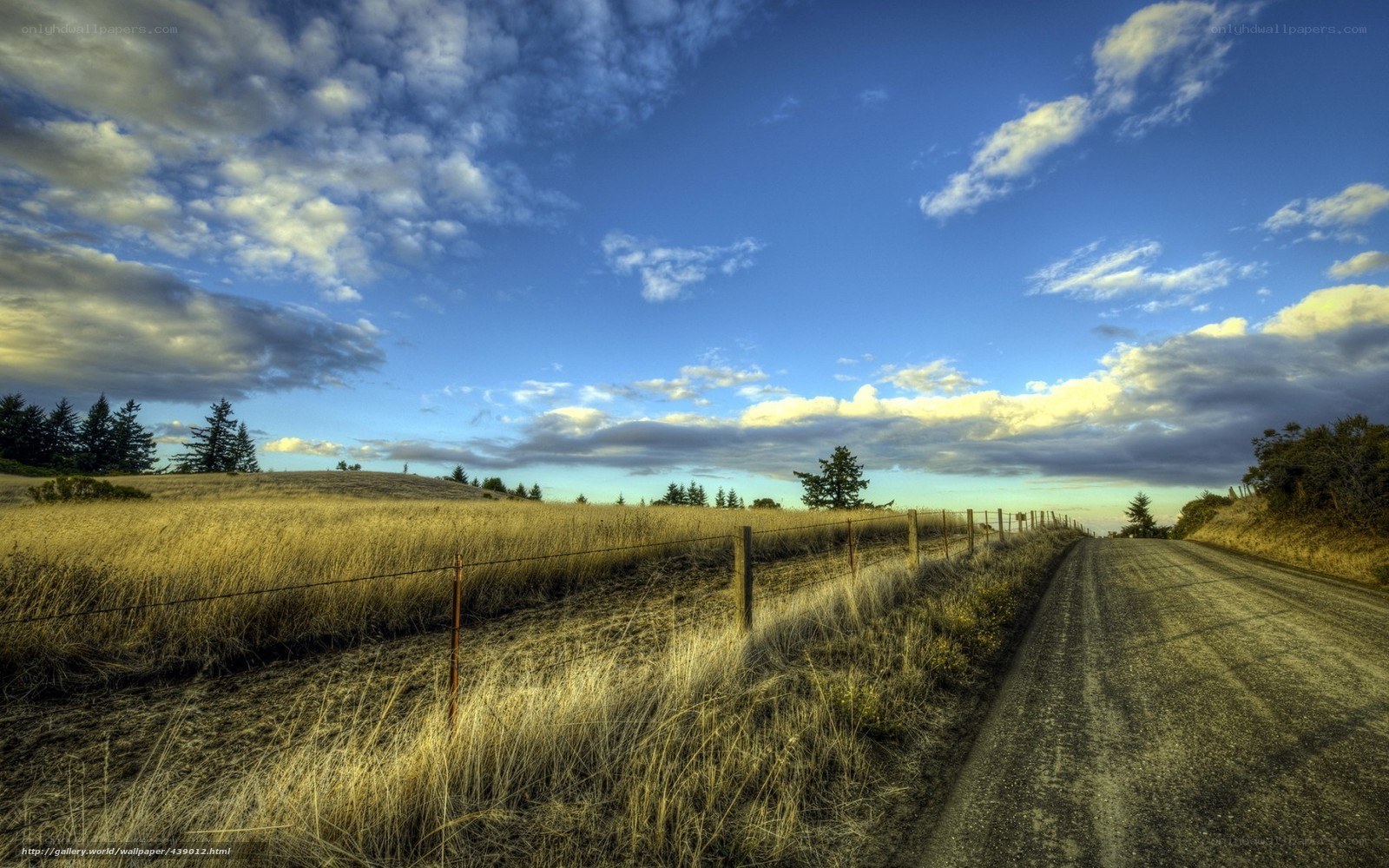 Dirt road through golden fields