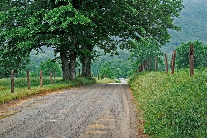 Dirt road through green countryside