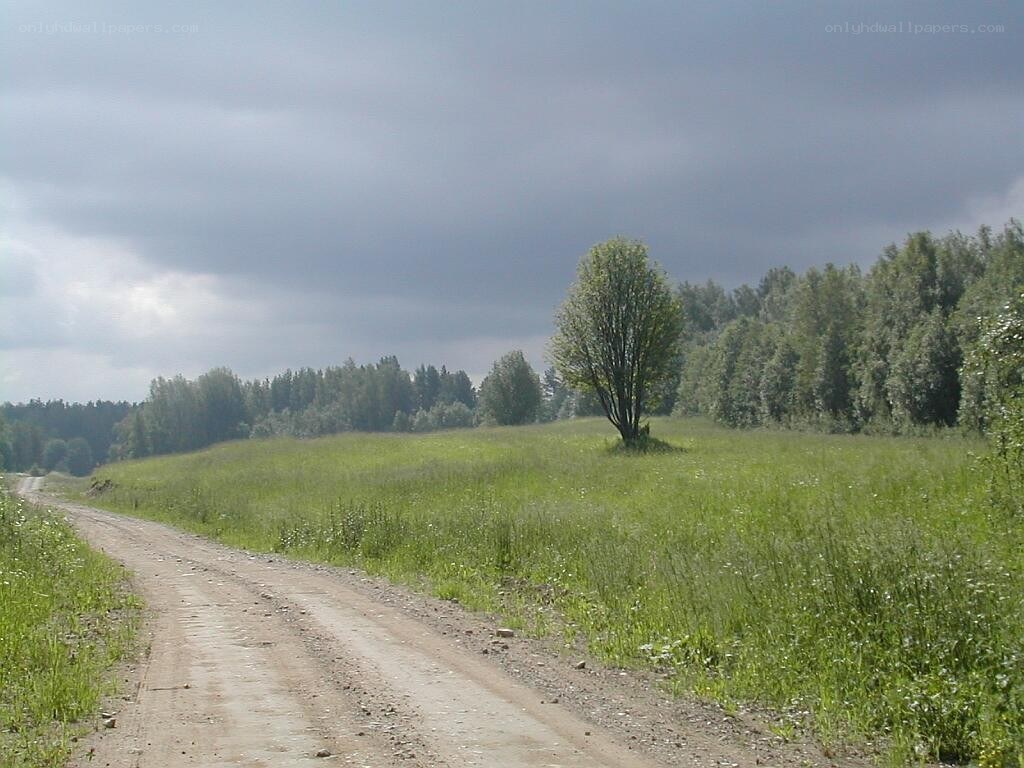 Dirt road through green field