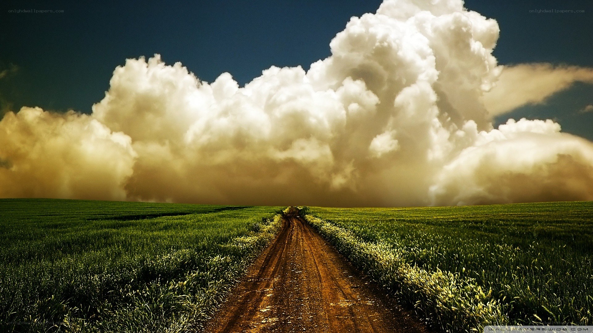Dirt road through green fields