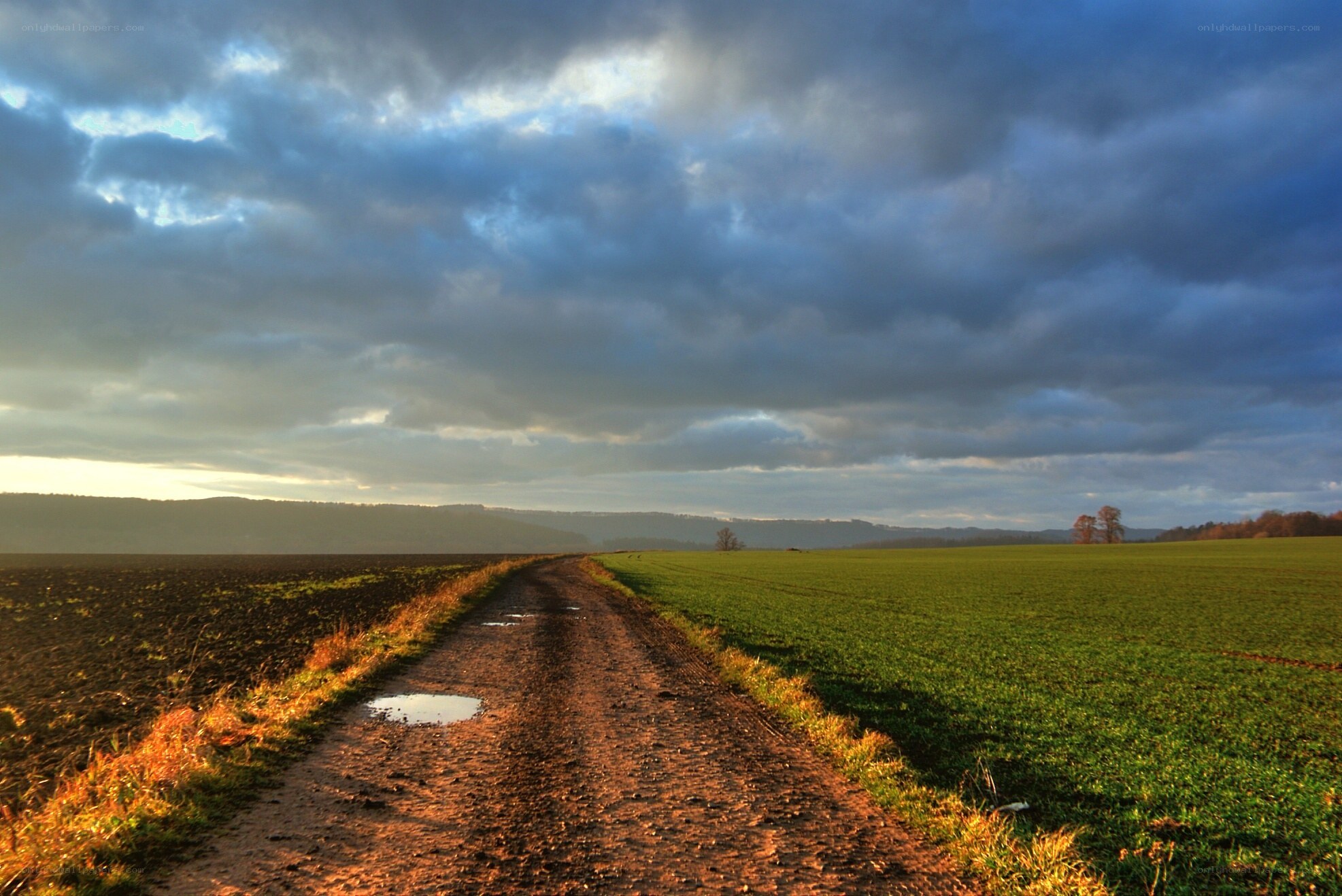 Dirt road through green fields