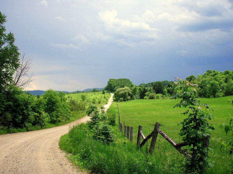 Dirt road through green fields