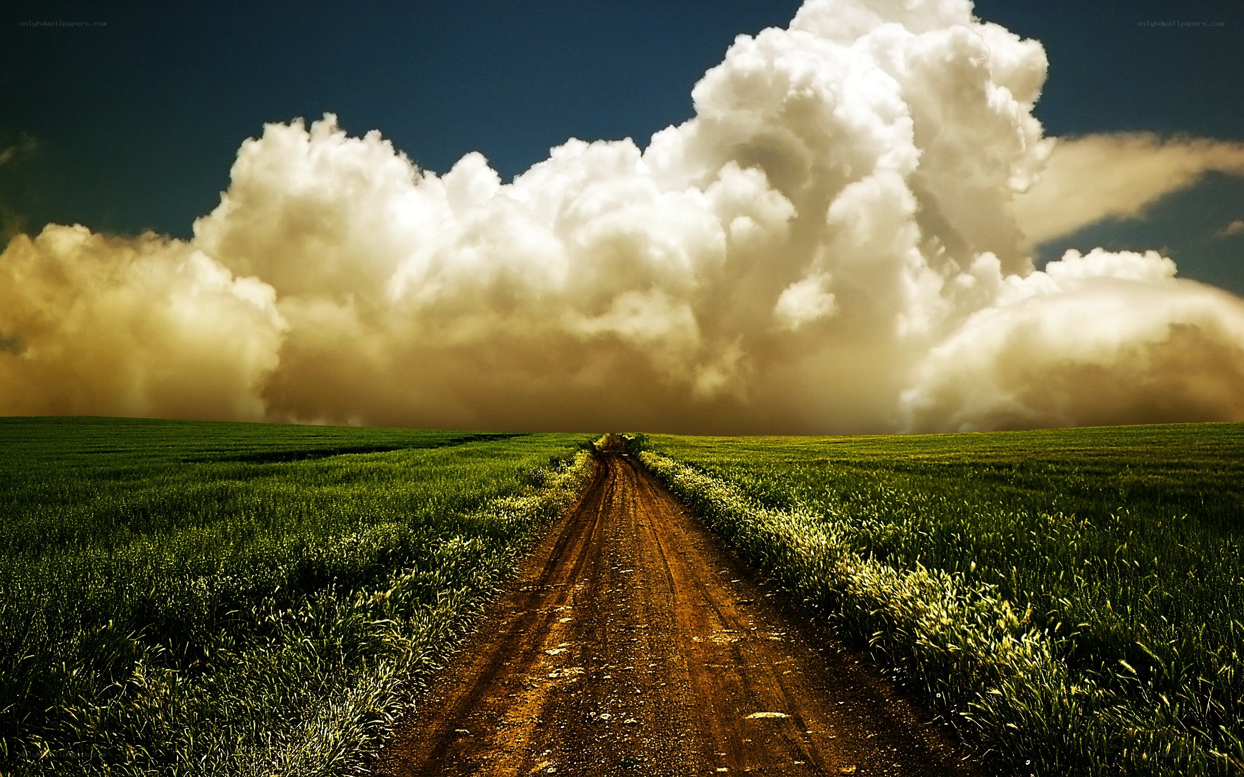 Dirt road through green fields