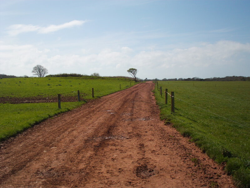 Dirt road through green fields