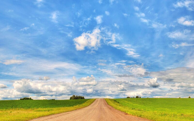 Dirt road through green fields