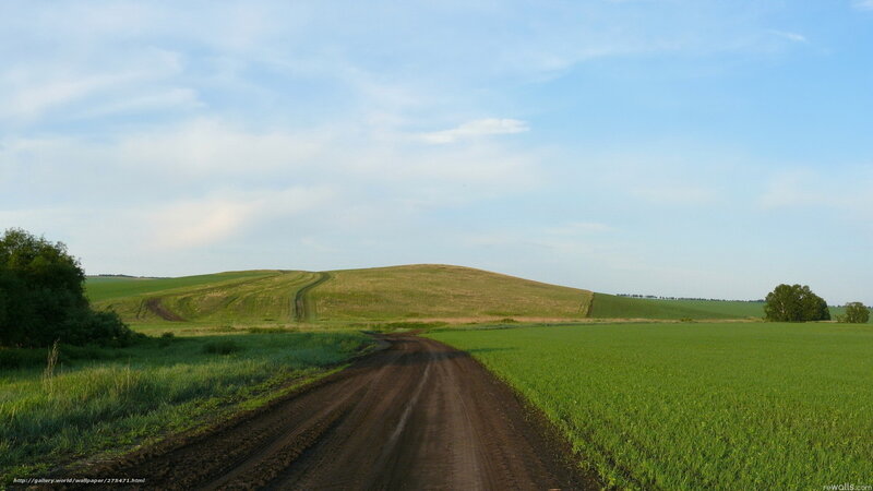 Dirt road through green fields