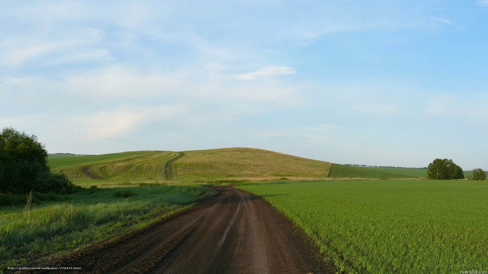 Dirt road through green fields