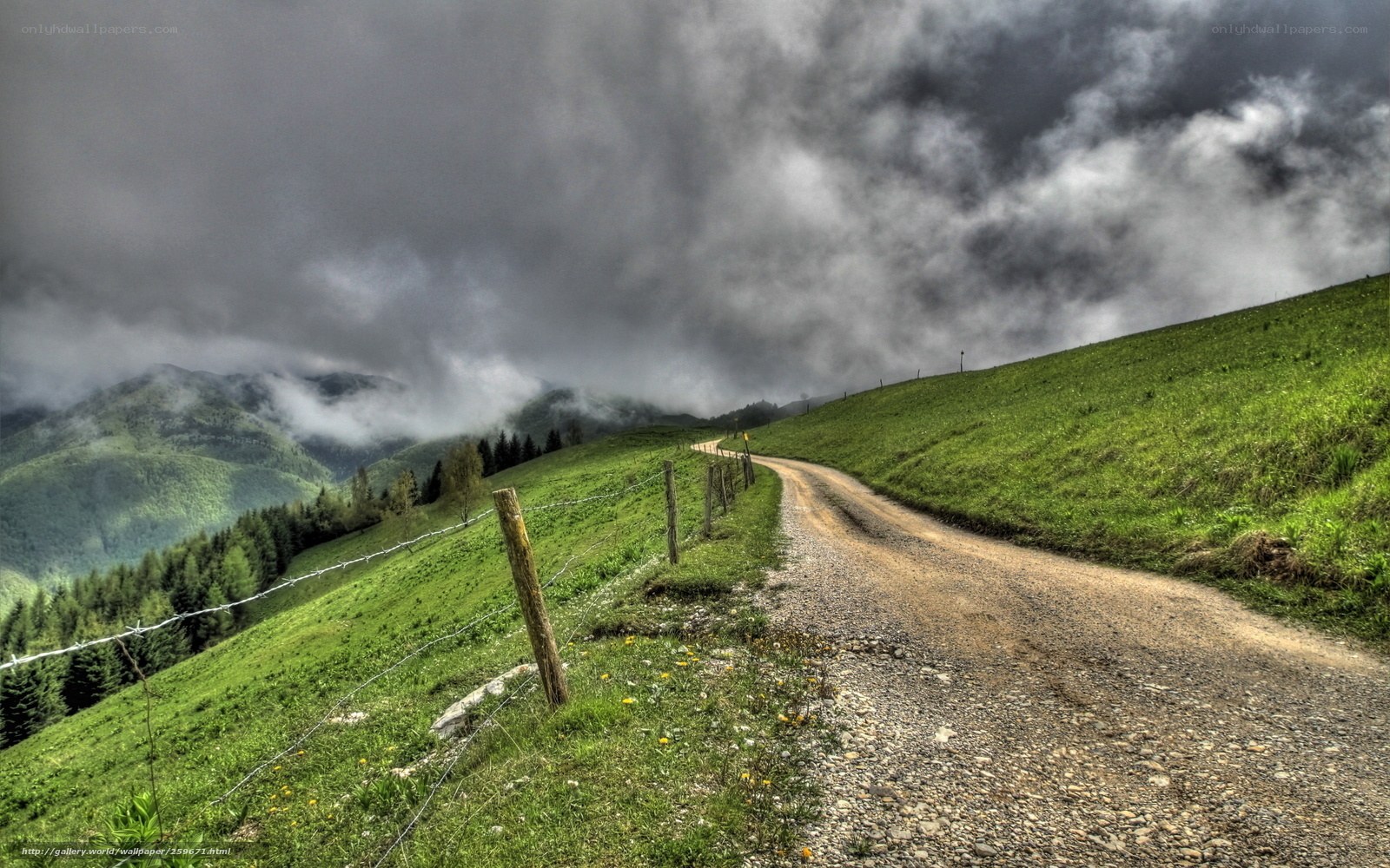 Dirt road through green hills