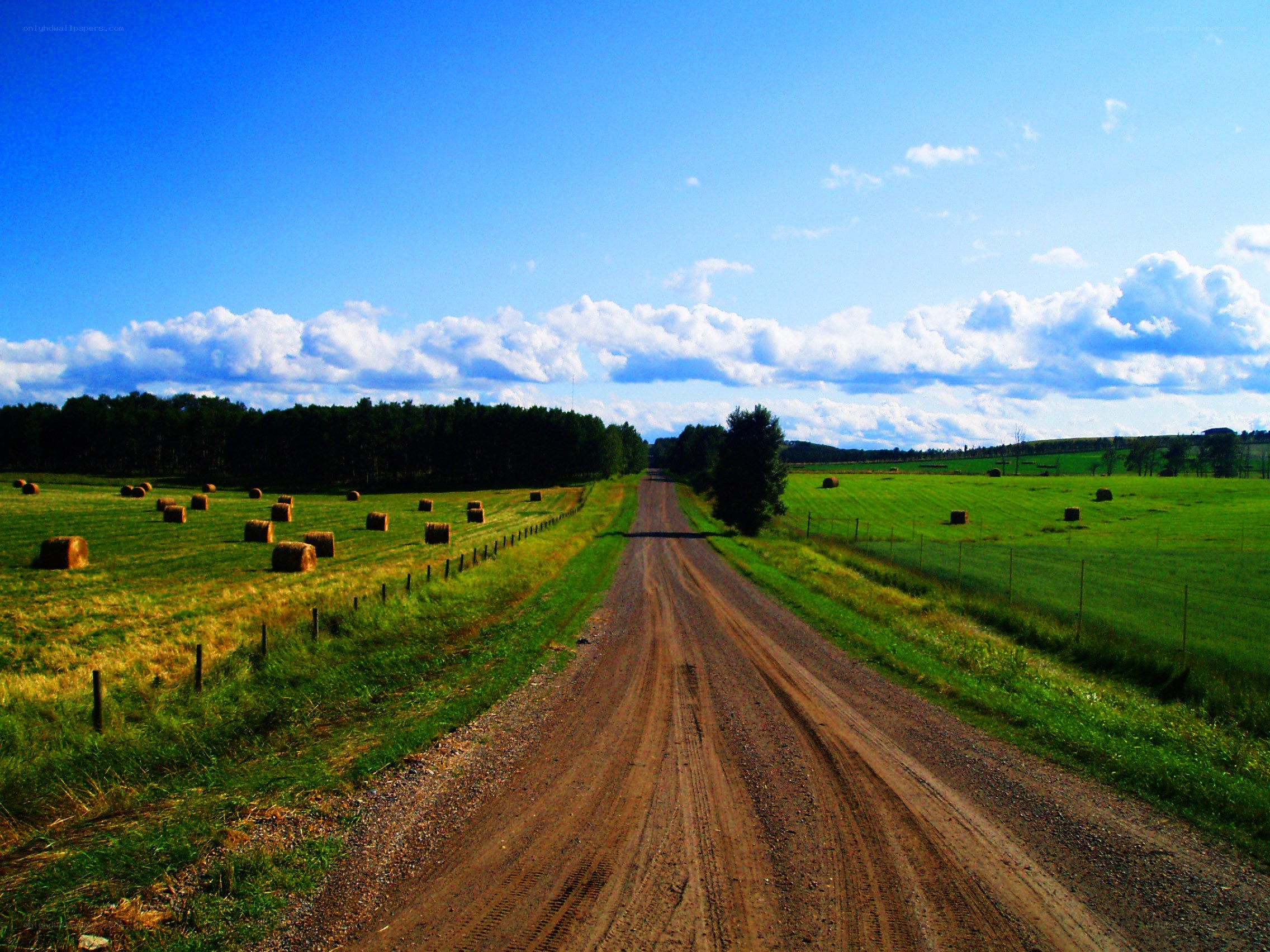 Dirt road through hay fields