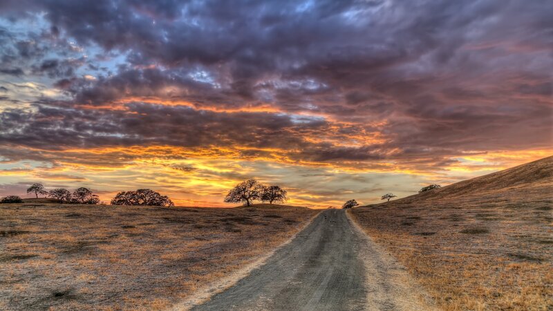 Dirt Road Through Hills — Orange