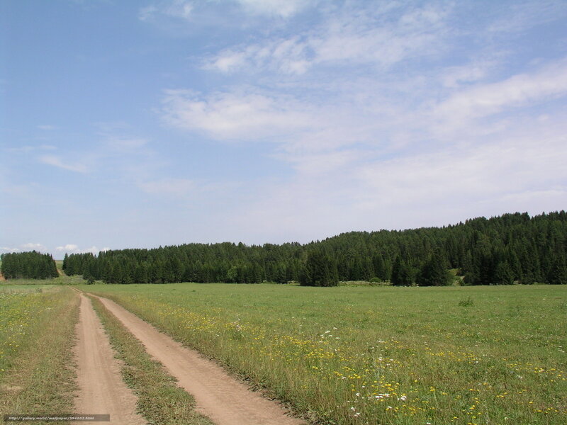 Dirt road through meadow