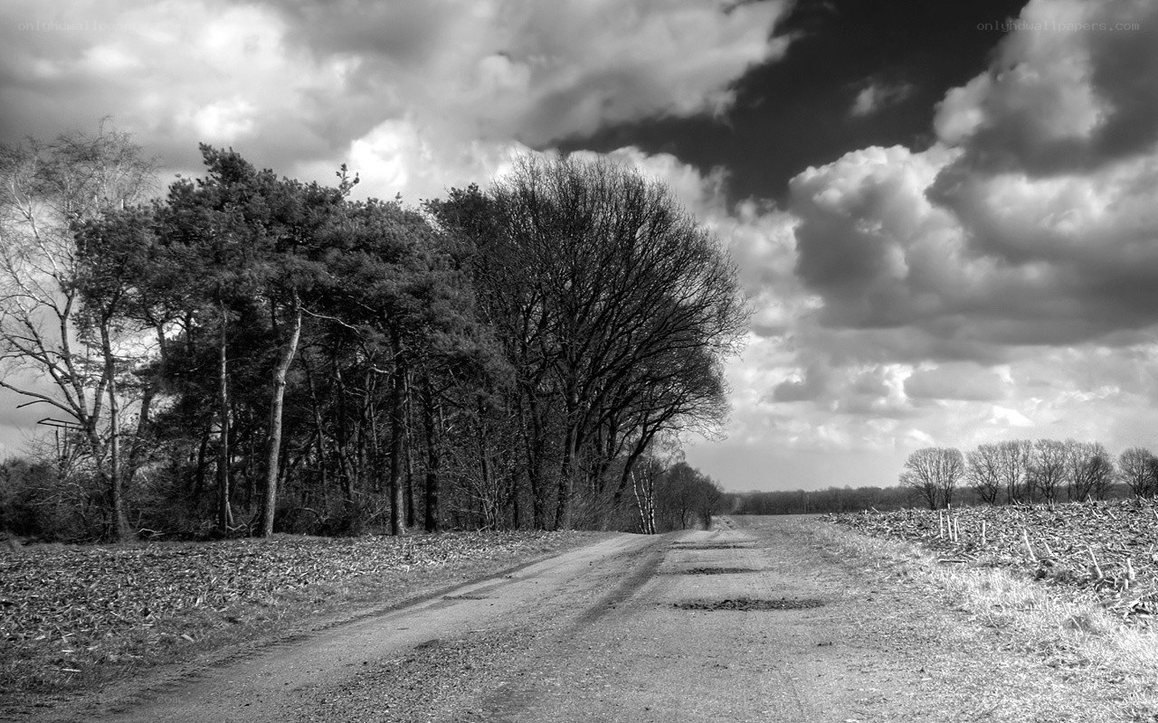 Dirt road through rural landscape