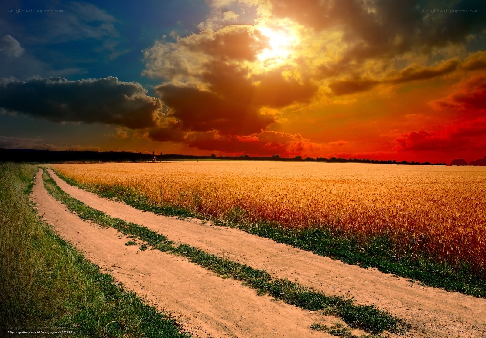 Dirt road through wheat field at sunset