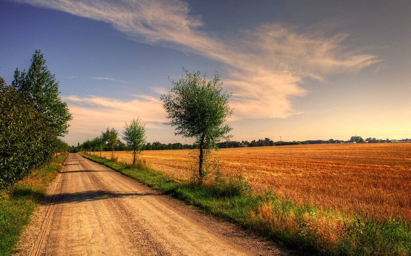 Dirt Road Through Wheat Field — Brown