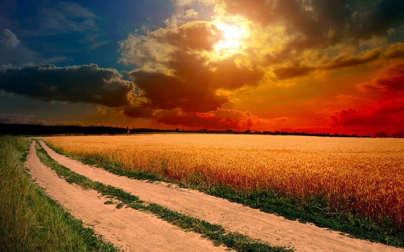 Dirt Road Through Wheat Field — Orange, Dramatic, Sunset