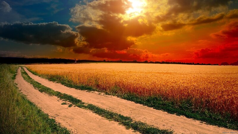 Dirt Road Through Wheat Field — Orange, Dramatic
