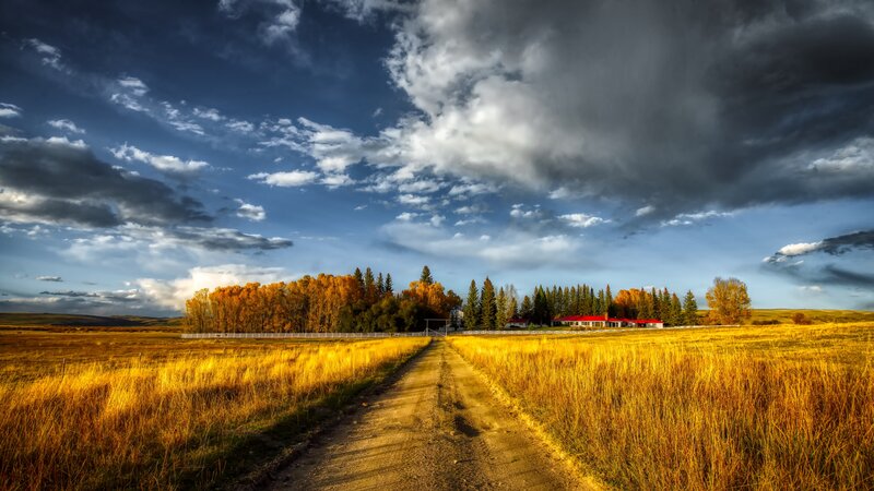 Dirt Road to Farmhouse