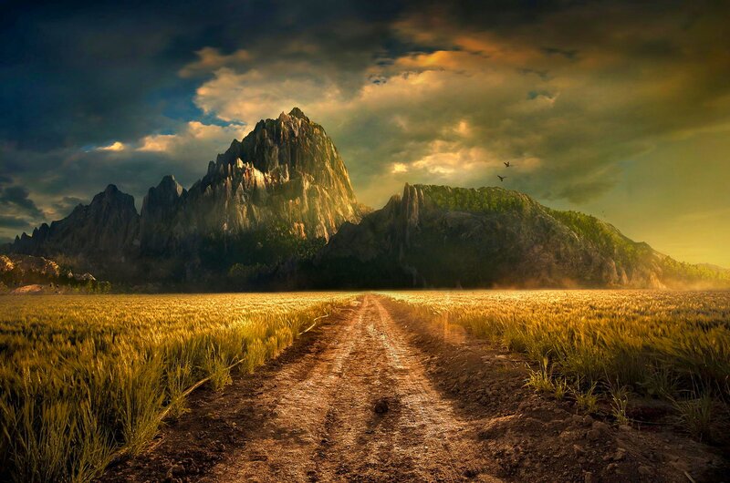 Dirt Road to Mountains — Gold