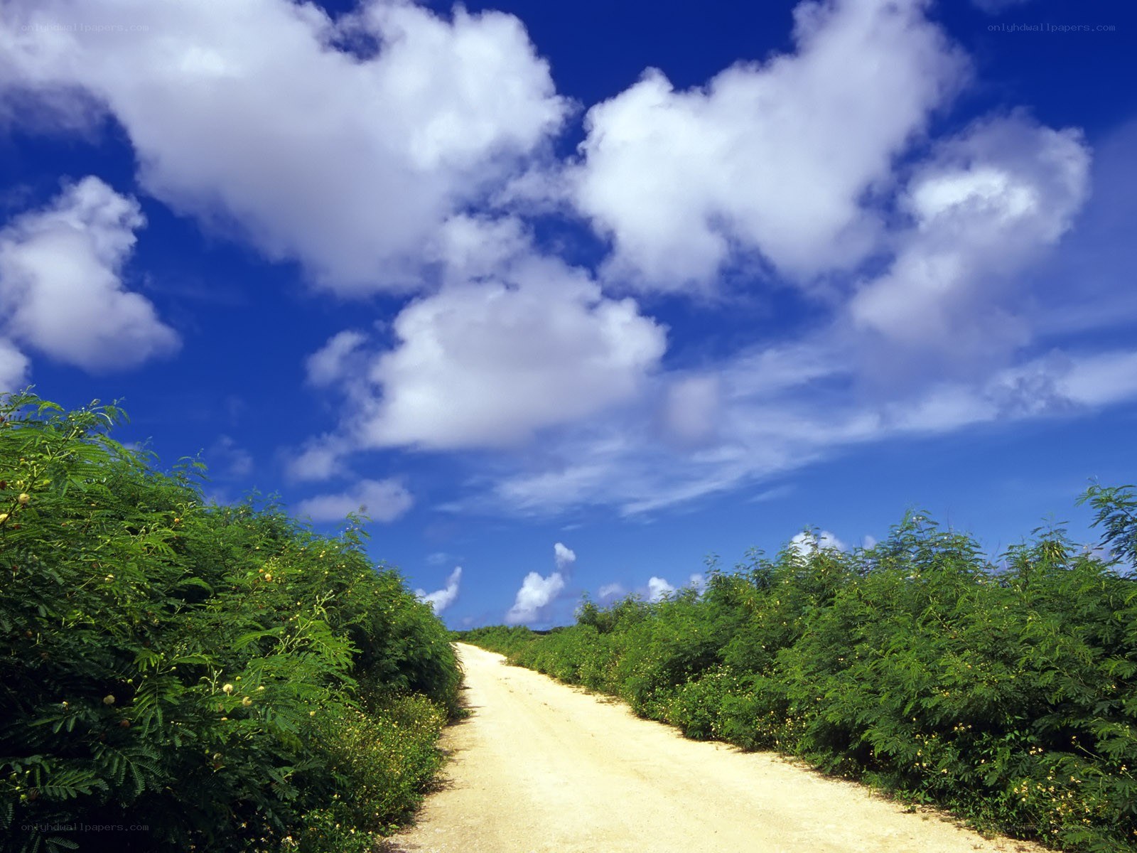 Dirt road under blue sky