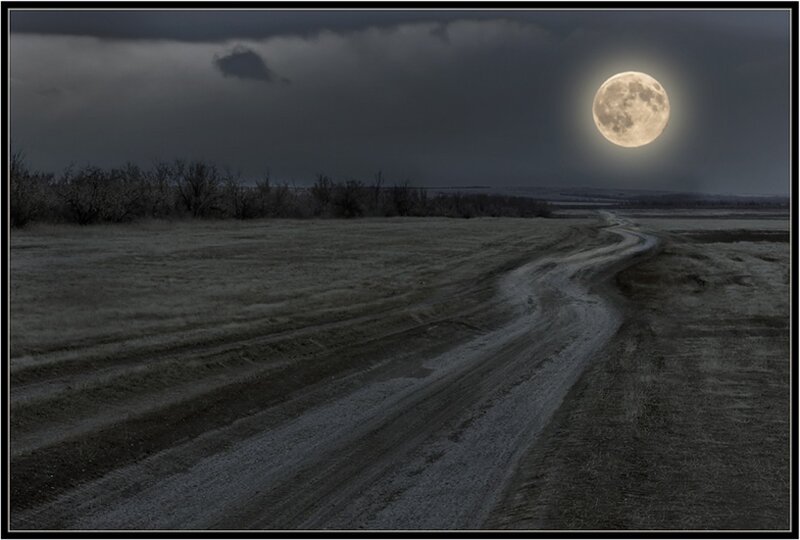 Dirt Road under Moon — Gray