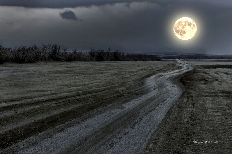 Dirt Road under Moon