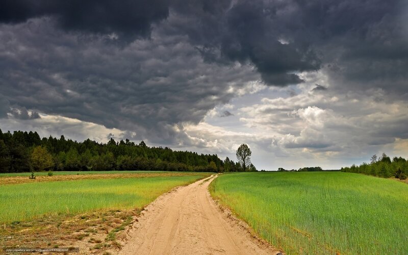 Dirt road under stormy sky