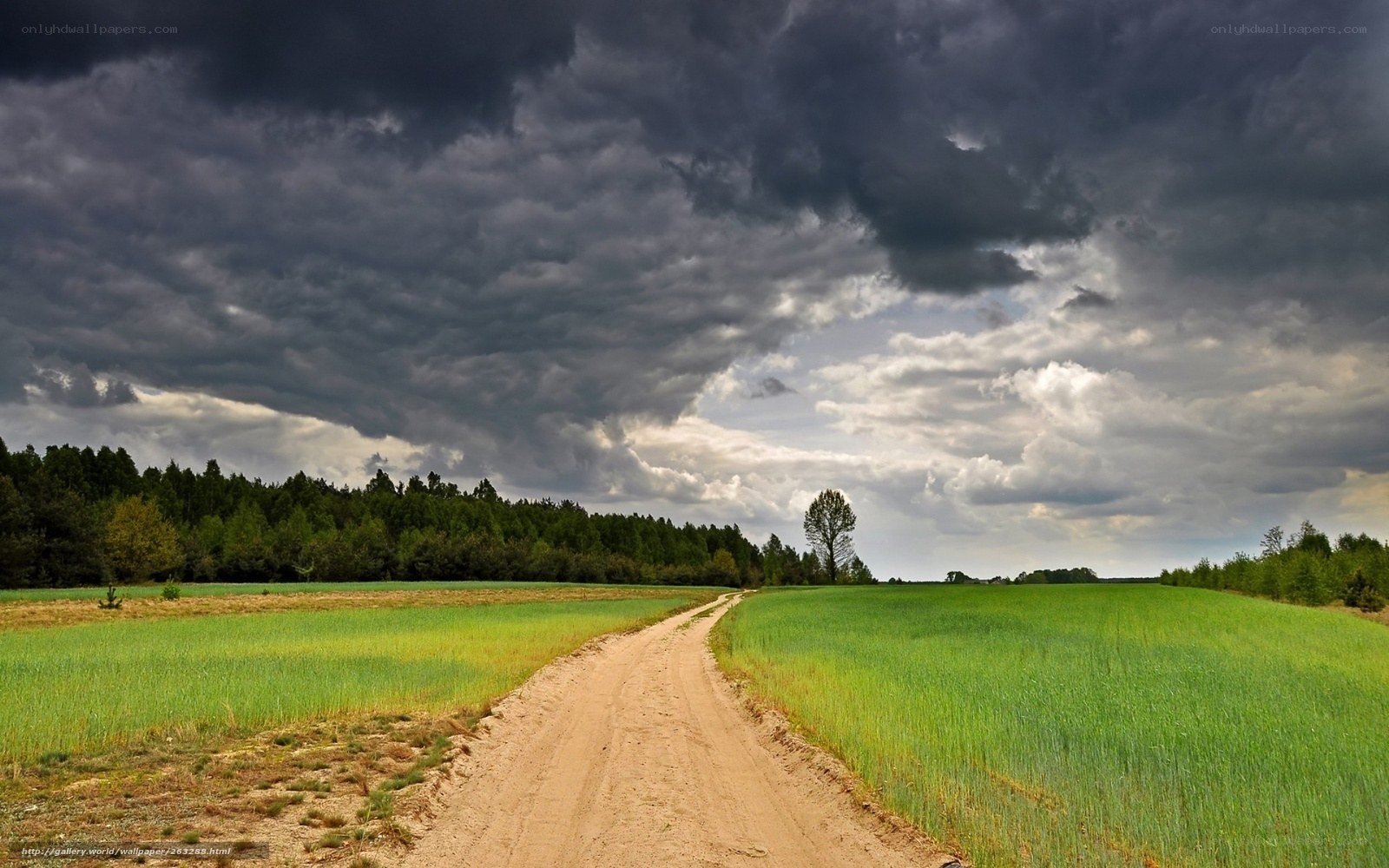 Dirt road under stormy sky