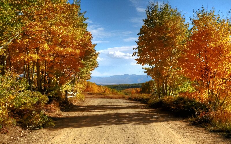 Dirt Road with Autumn Trees — Yellow