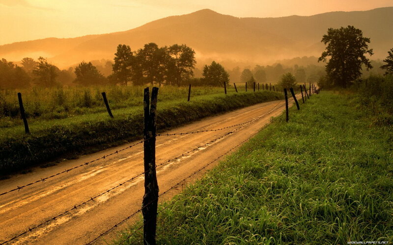 Dirt Road with Barbed Wire — Green
