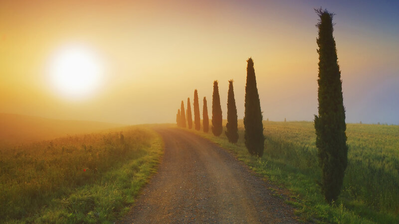 Dirt Road with Cypress Trees — Yellow