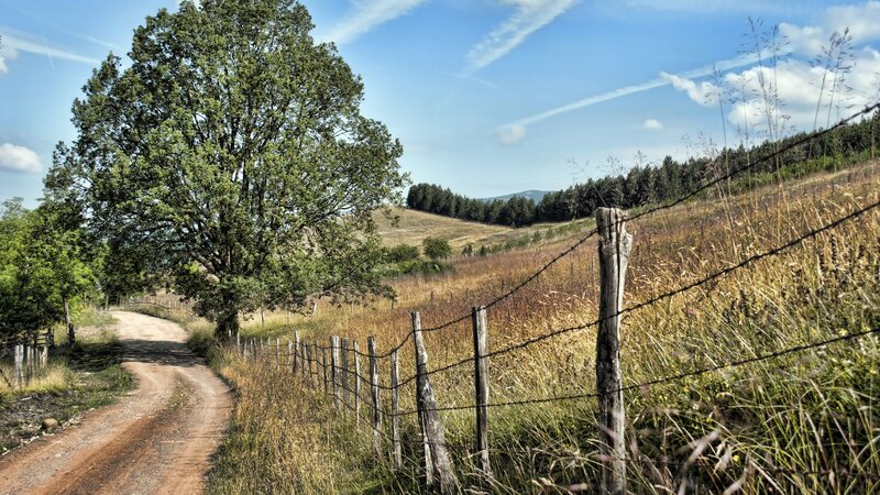 Dirt Road with Fence