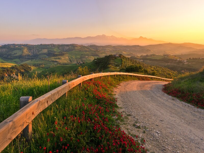 Dirt Road with Poppies — Green, Serene, Sunset, Photograph, Mountains