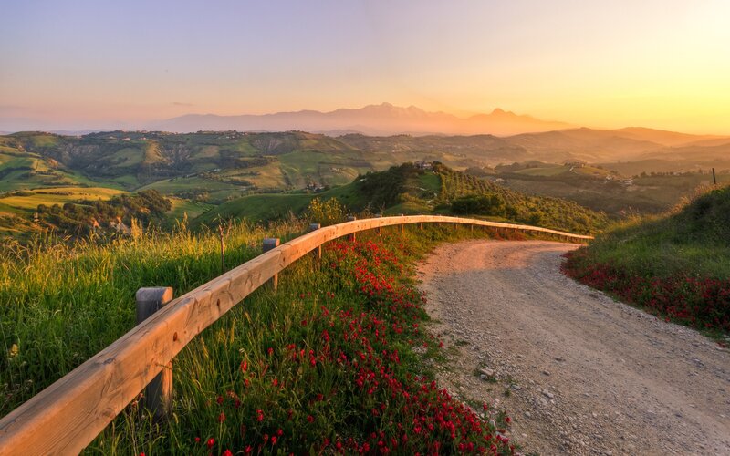Dirt Road with Poppies — Green, Serene, Sunset, Photograph