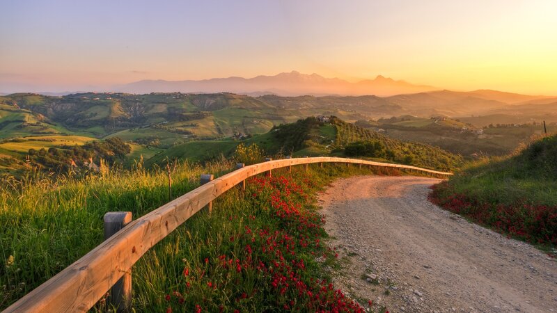Dirt Road with Poppies — Green, Serene, Sunset