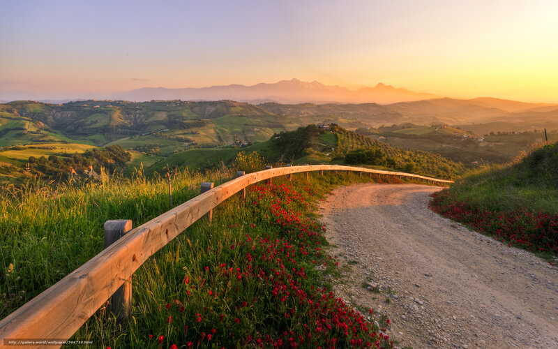 Dirt Road with Poppies — Green, Serene