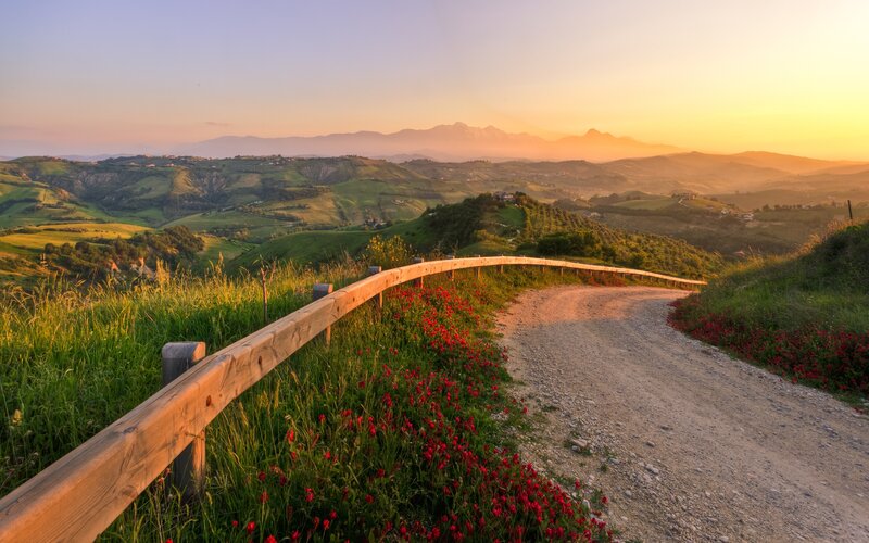 Dirt Road with Poppies — Green