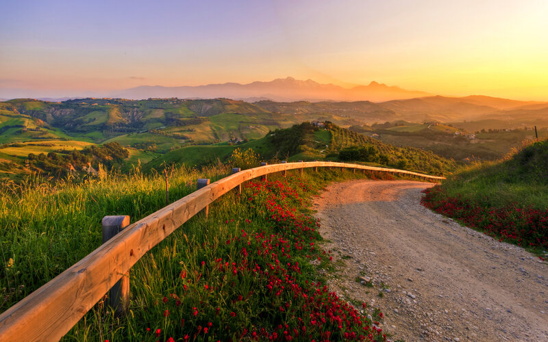 Dirt Road with Poppies