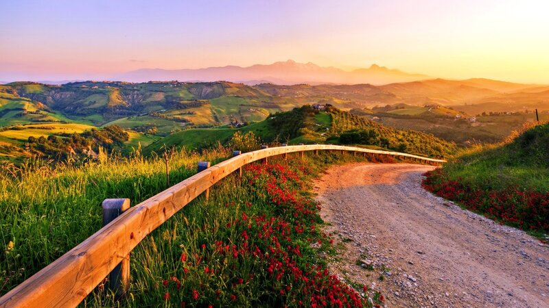 Dirt Road with Red Flowers — Green