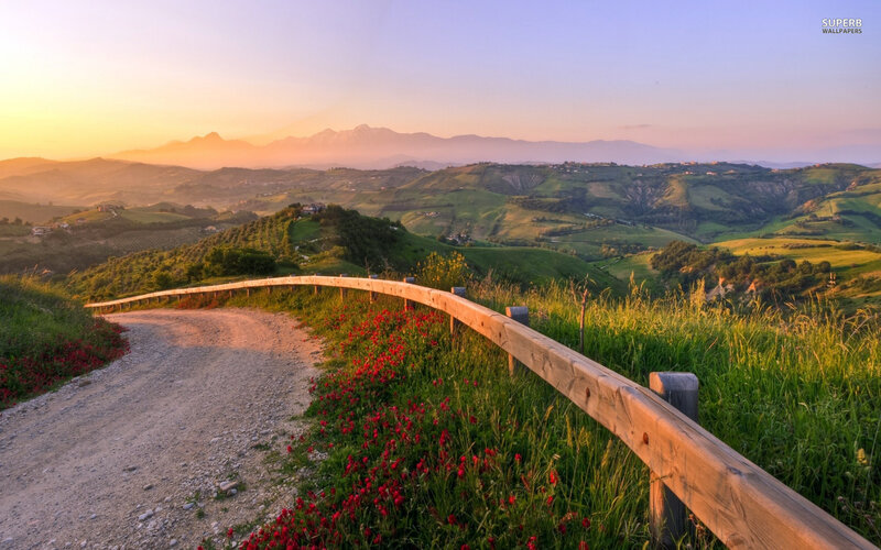 Dirt Road with Red Flowers