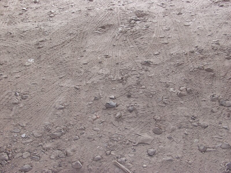 dirt road with tire tracks