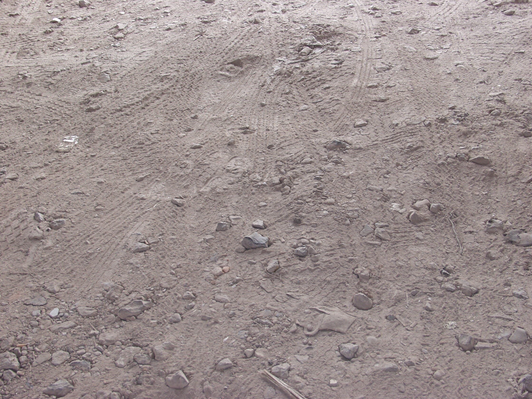 dirt road with tire tracks