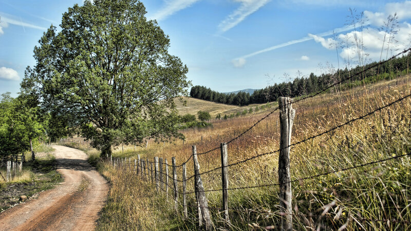 Dirt Road with Tree — Blue, Serene, Afternoon, Photograph, Fence
