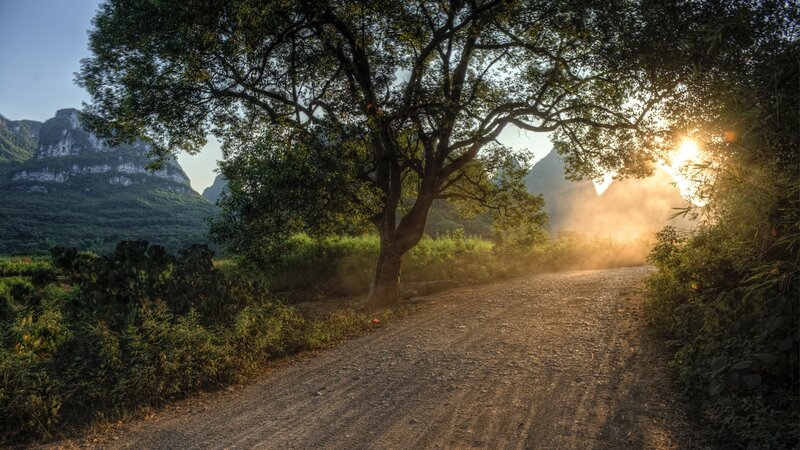 Dirt Road with Tree — Green