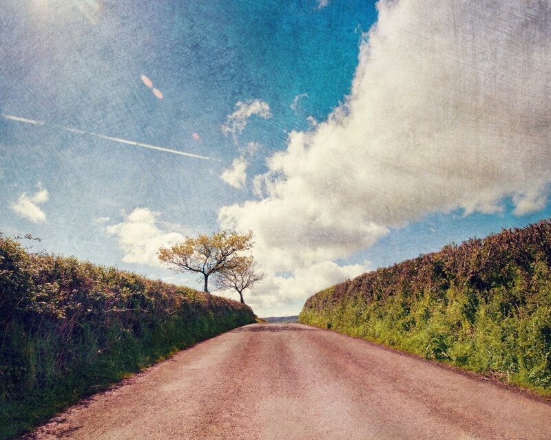 Dirt Road with Trees — Blue, Serene, Afternoon