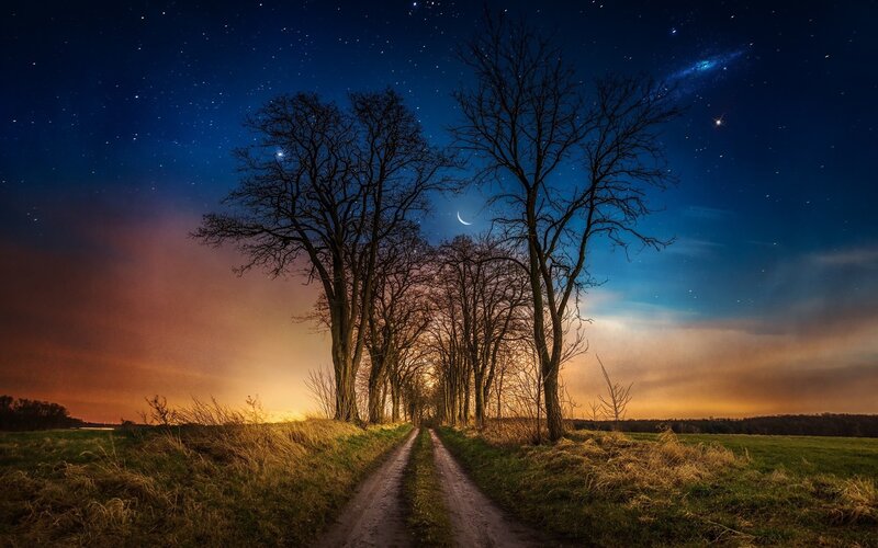 Dirt Road with Trees — Blue, Serene, Night