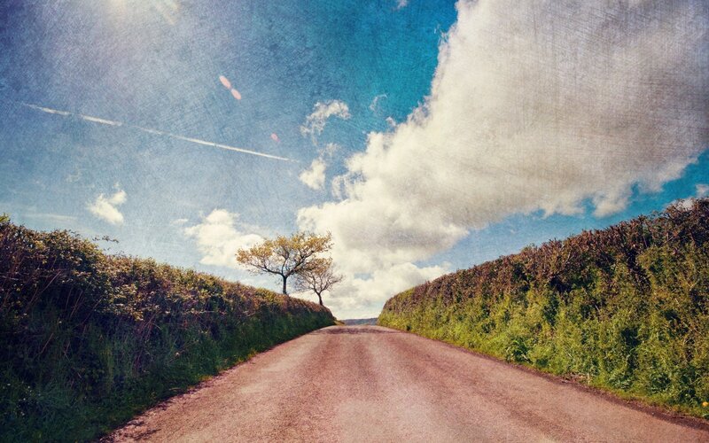 Dirt Road with Trees — Blue