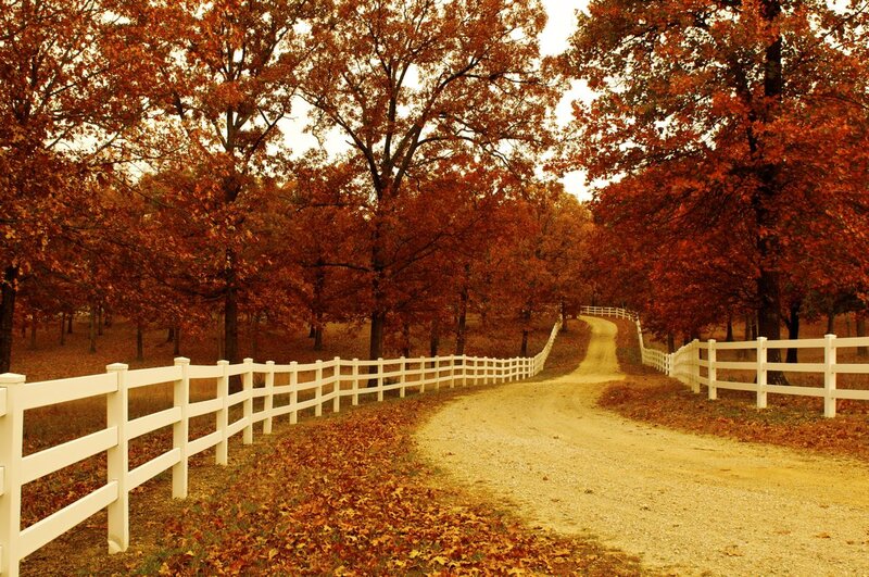 Dirt Road with White Fence