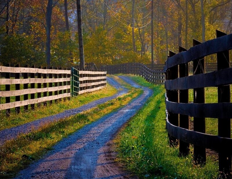 Dirt Road with Wooden Fences